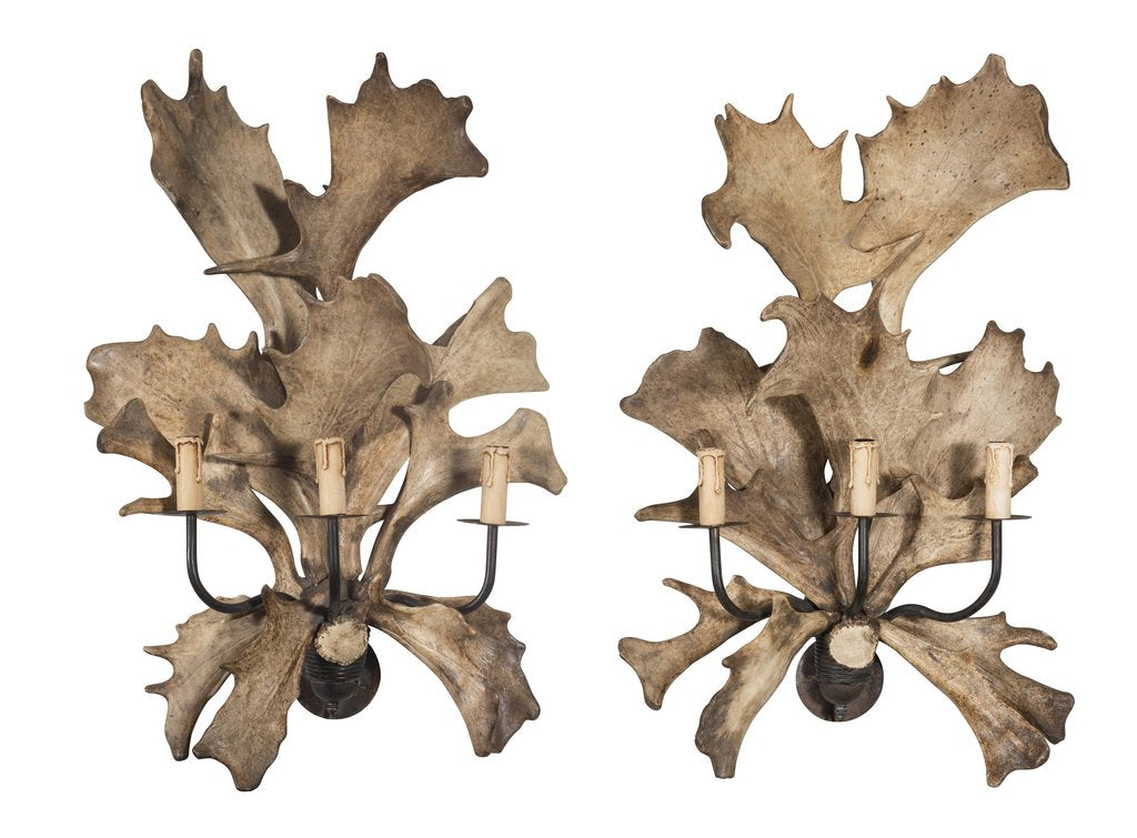 A PAIR OF FALLOW ANTLER SCONCES
