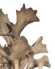 Load image into Gallery viewer, A PAIR OF FALLOW ANTLER SCONCES