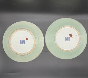 A Pair of Chinese Vintage Famillie Rose Cabbage Plate, 20th Century